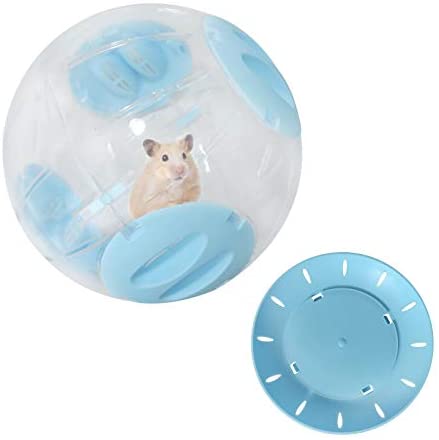 Banh không đế đèn led và không đèn dành cho hamster