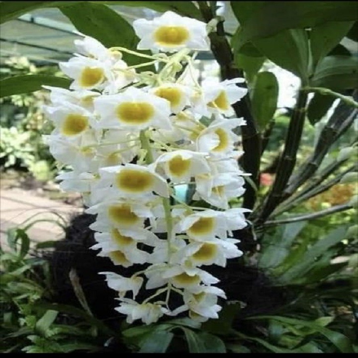 4yCX3k8QnhQ67BoN9APo_simg_d0daf0_800x1200_max.jpg