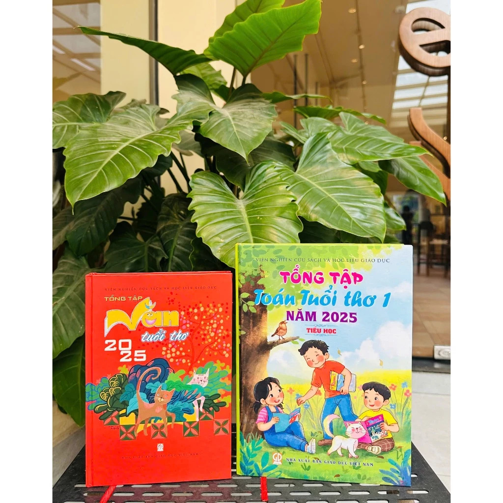 Sách - Tổng Tập Toán Tuổi Thơ 1 + Văn Tuổi Thơ Năm 2025