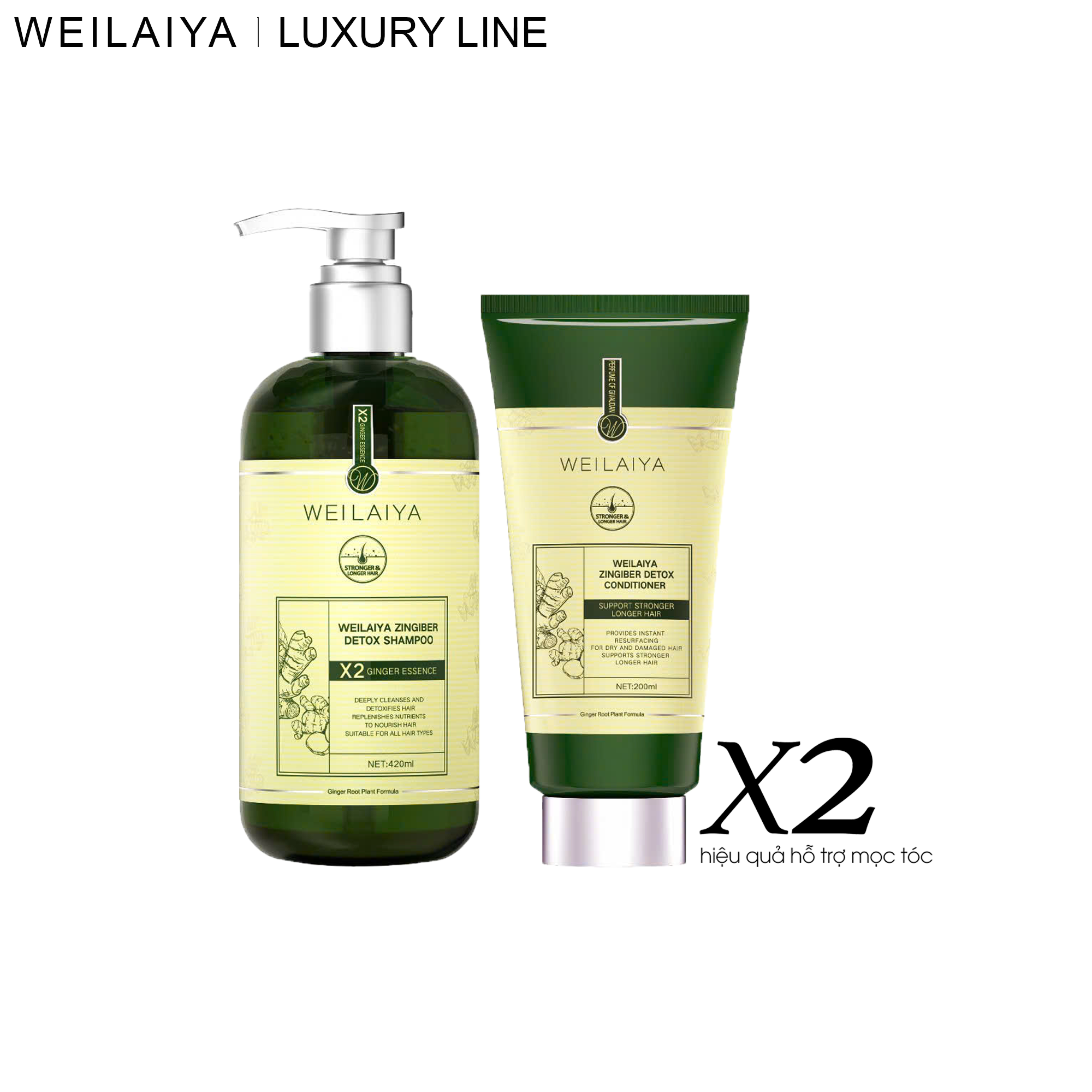 Da Đầu Dầu - Bộ Gội Xả Gừng Detox Hỗ Trợ Mọc Tóc & Ngăn Lão Hóa Da Đầu Gội 420ml Xả 200ml - Phiên bản Luxury