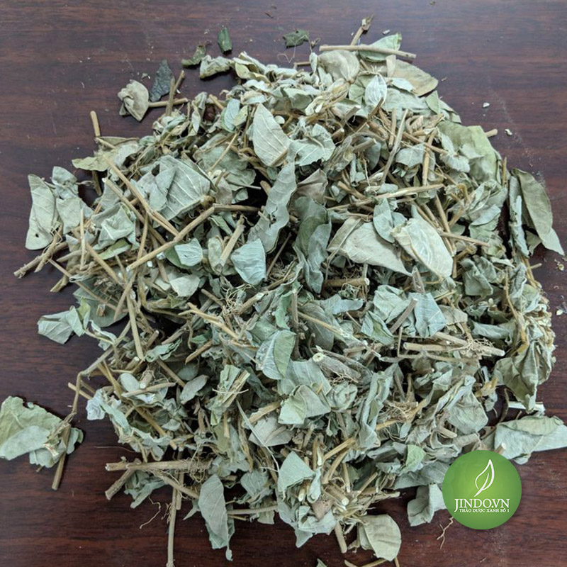 Kim tiền thảo - lv006