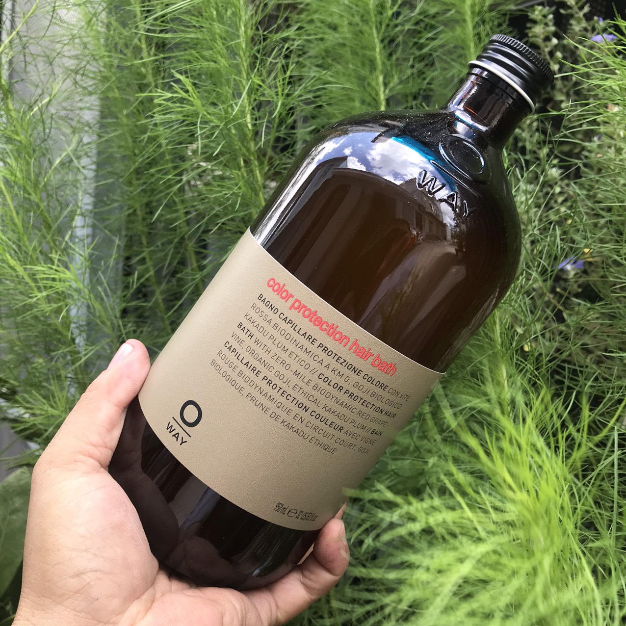 Dầu gội bảo vệ màu nhuộm OWAY COLOR PROTECTION HAIR BATH 950ml | Lazada.vn