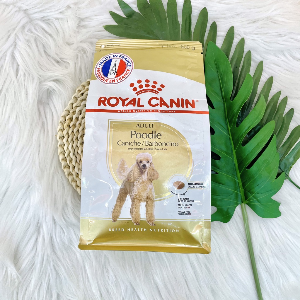 Royal canin Poodle Adult Thức ăn hạt cho chó