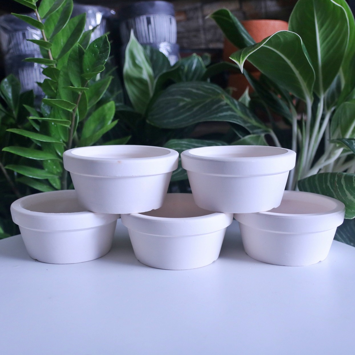 [HCM]COMBO 5 chậu đất nung 14x7 cm trồng cây cảnh mini sen đá xương rồng cây bonsai Thích hợp để trồng các cây cảnh văn phòng cây để bàn cây mini tiểu cảnh sen đá xương rồng trang trí bàn làm việc bàn học.