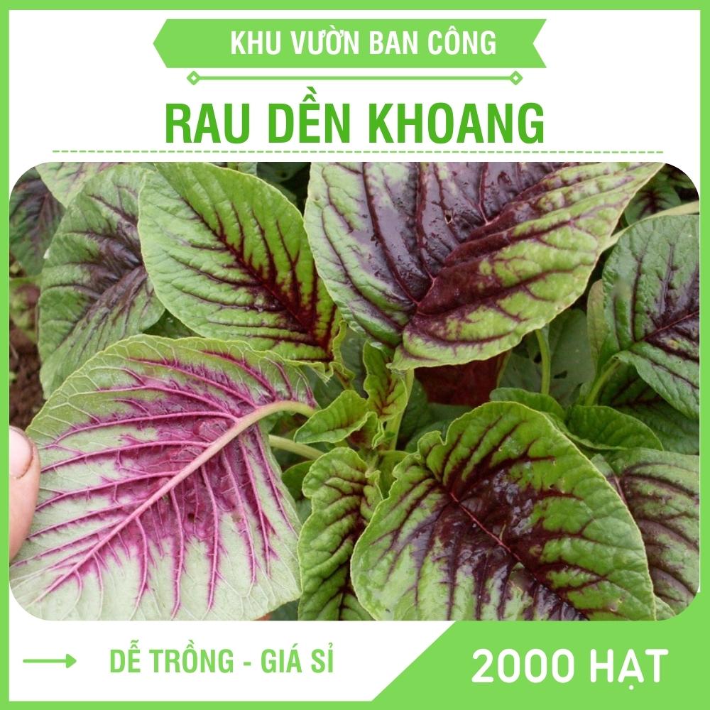 Hạt giống rau dền khoang cao sản canh tác quanh năm gói 20g, 50g - khu vườn ban công