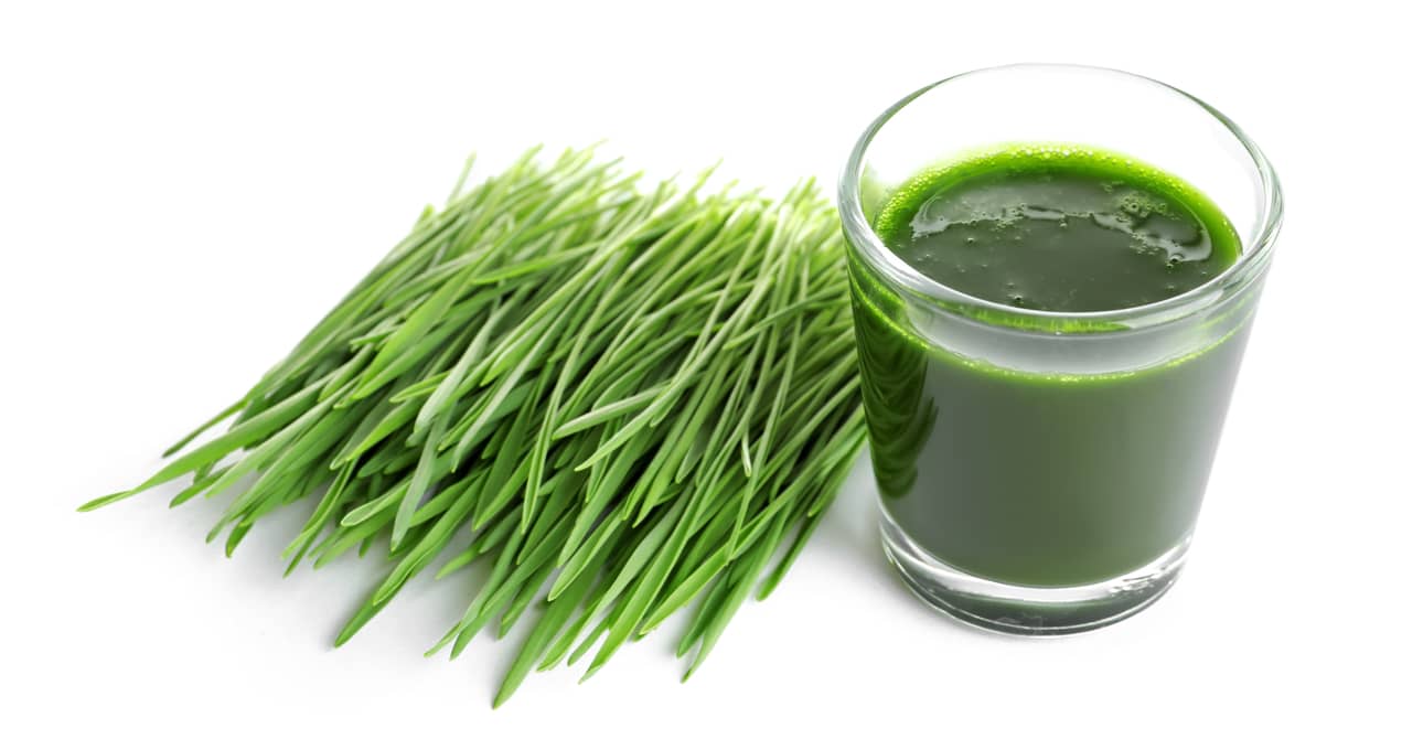 Hạt giống mầm lúa mạch 100gr