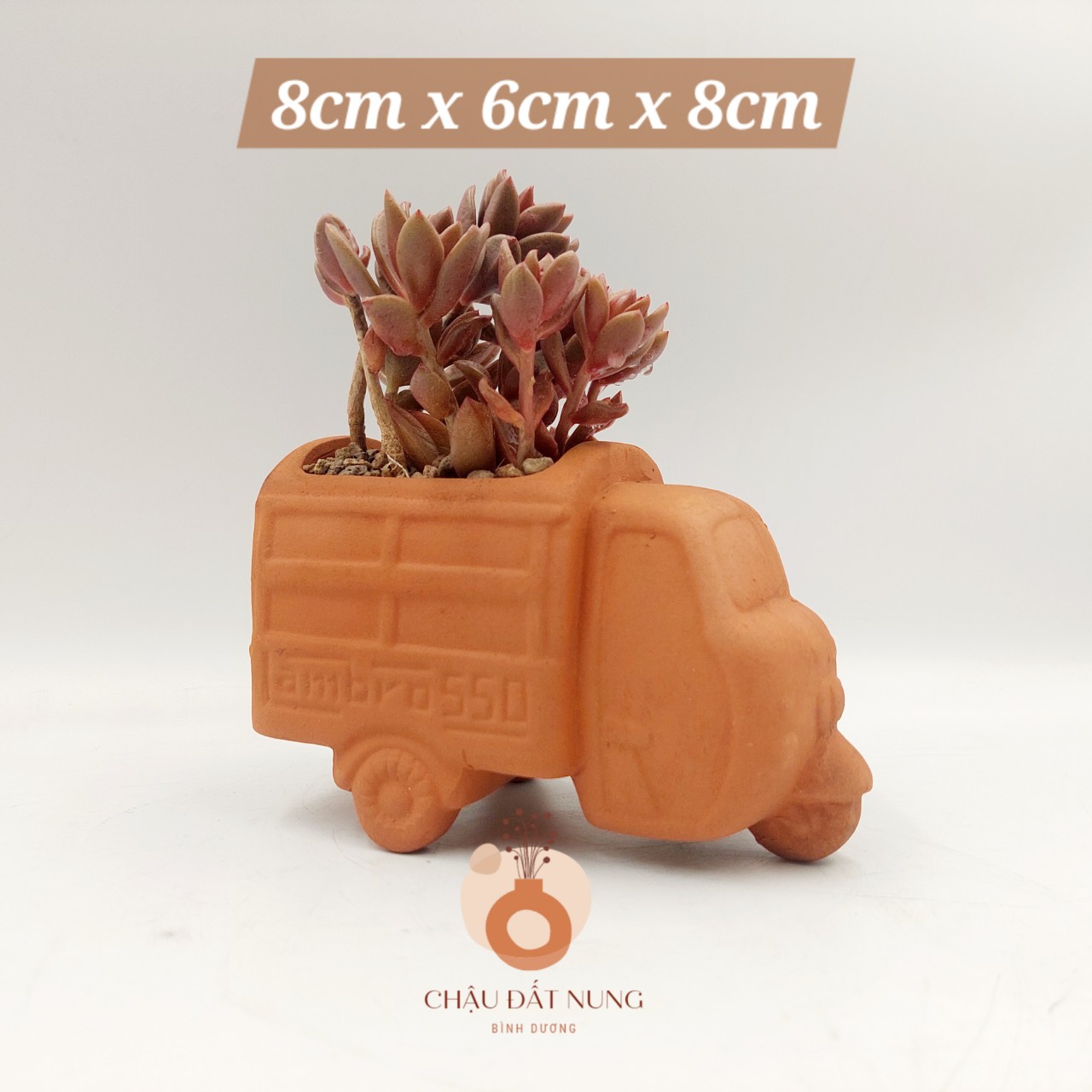 Chậu đất nung, chậu sen đá - Lambo550 868, miệng 8-6(cm), chiều cao 8cm