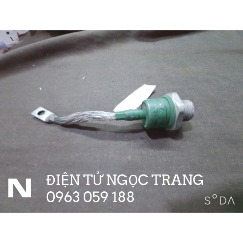 Diot nga 50a - giá 1 con