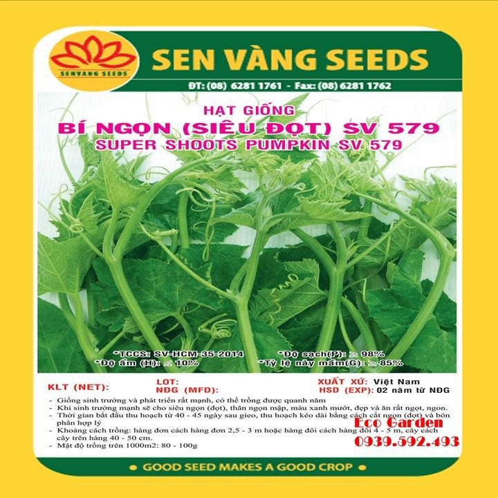 Hạt giống Bí ngọn siêu đọt SV 579 - 10GR