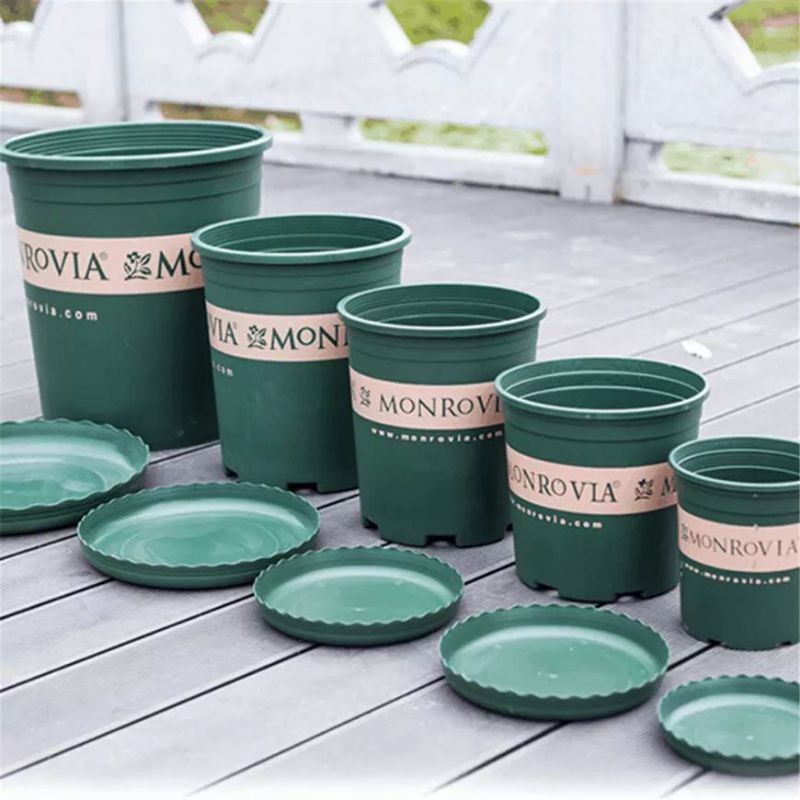 Combo 10 Chậu Monrovia 5 Gallon hàng VN bền đep siêu đẹp