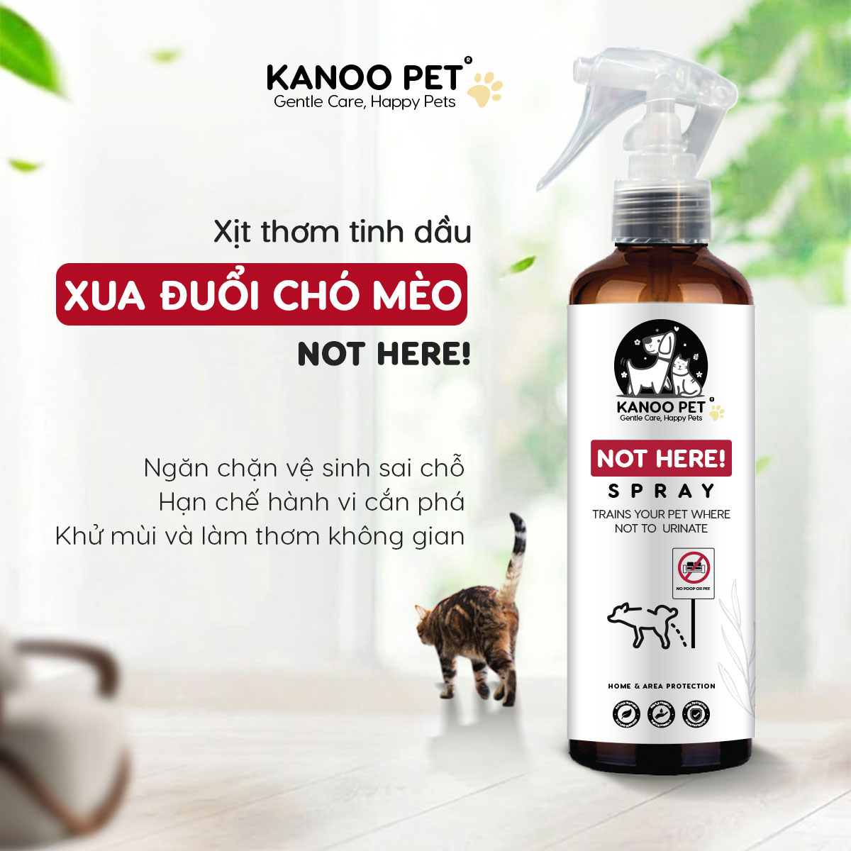 Xịt thơm tinh dầu xua đuổi chó mèo Kanoo Pet ngăn chó mèo cắn phá, phóng uế sai chỗ, khử mùi hiệu quả - 260ml