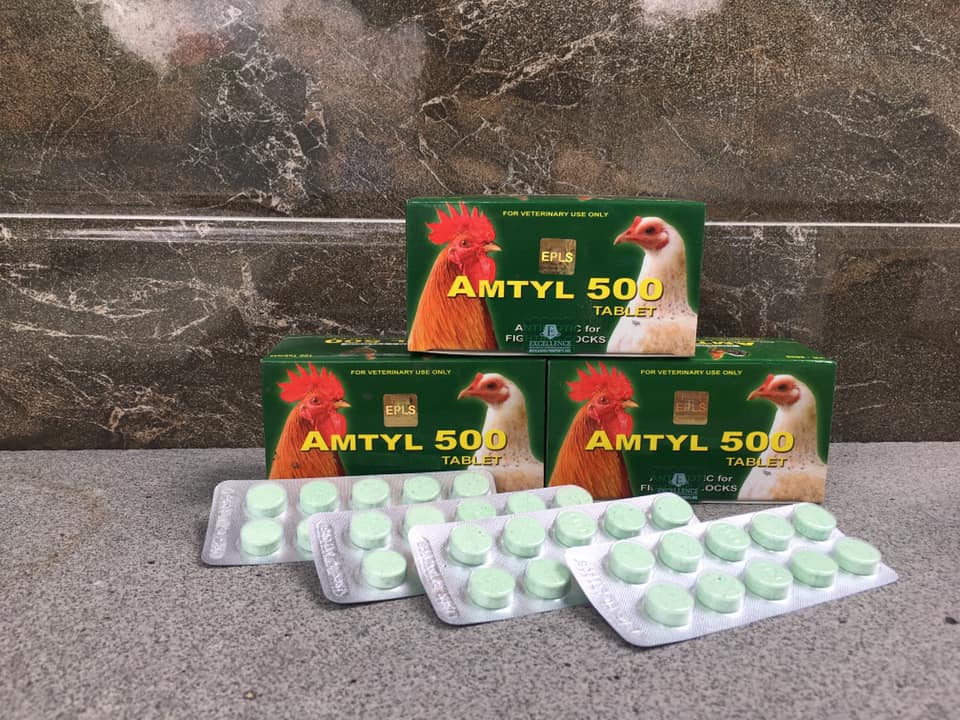 Amtyl 500 kháng sinh trị tang, khò khè, sổ mũi dành cho gà đá (10 viên).