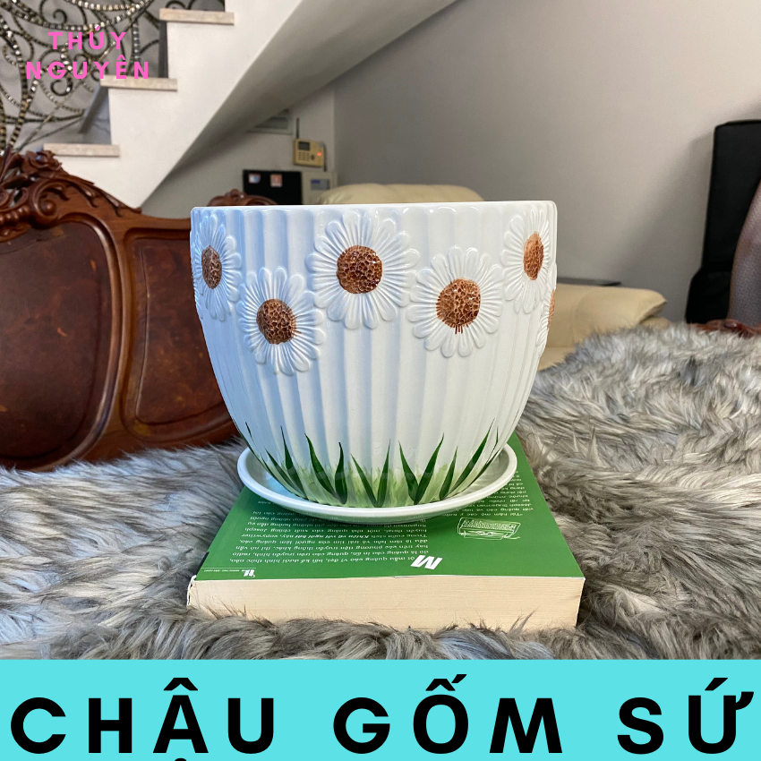 Chậu trồng cây để bàn bằng gốm sứ
