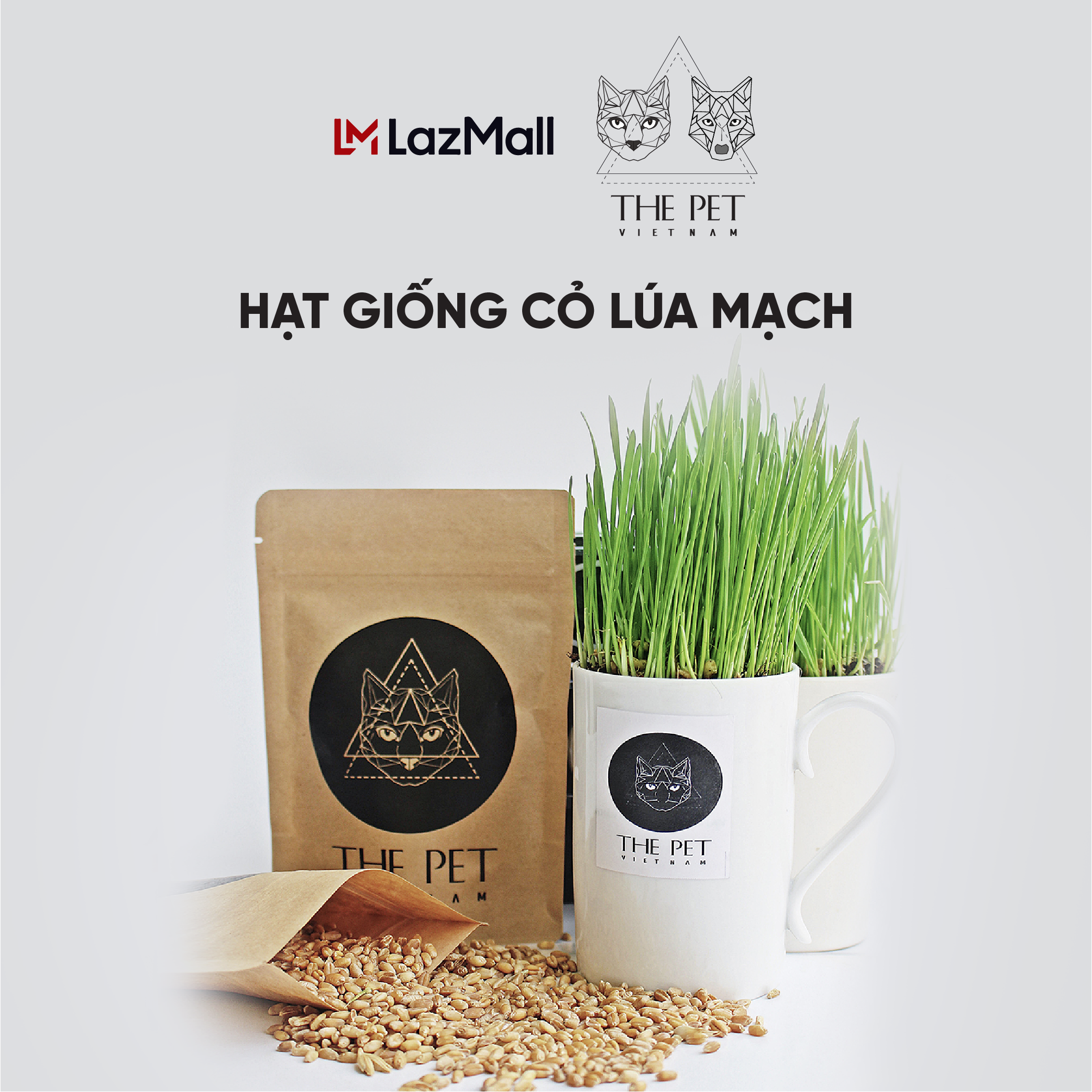 Hạt Giống Cỏ Lúa Mạch Cho Mèo Chống Tắc Ruột Bổ Sung Vitamin 100g