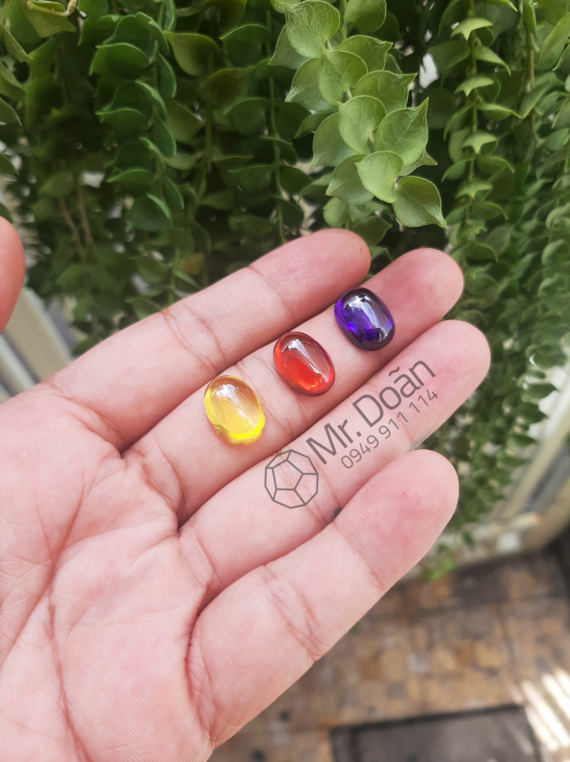Bi oval 3 màu / dành cho nam