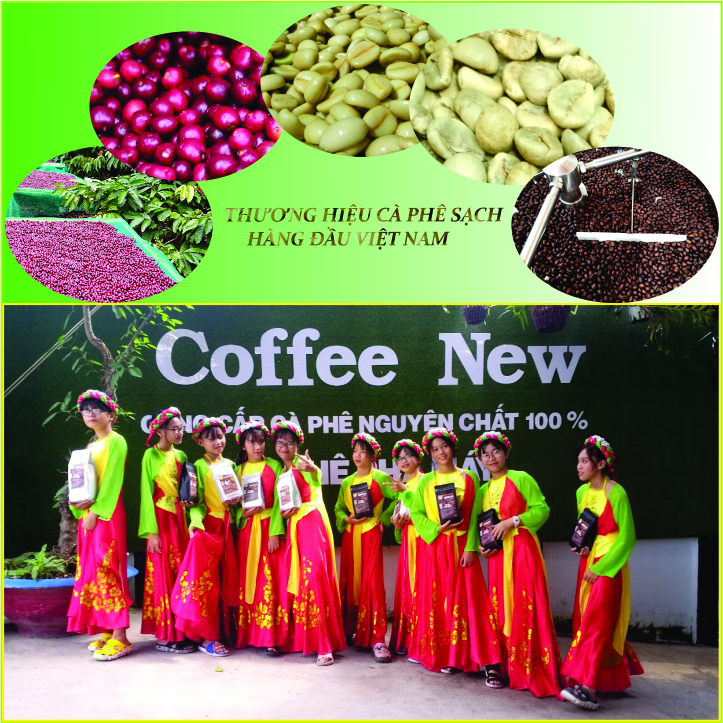 1KG Cafe nhân sống ARABICA Chưa Rang ĐẶC SẢN CẦU ĐẤT  Sàng 18 Hàng Chất Lượng Cao  Coffee New