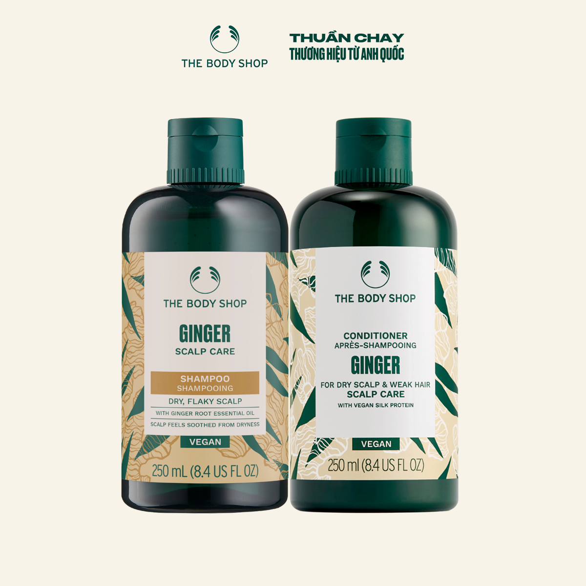 Combo dầu gội và dầu xả gừng ginger scalp care shampoo 250ml the body shop