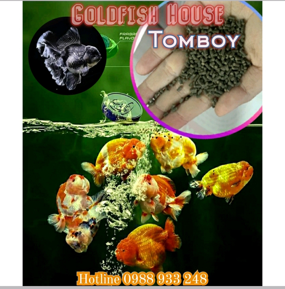 1kg Cám GOLDFISH HOUSE FOOD cho cá Vàng, cá Koi, cá Cảnh, Betta