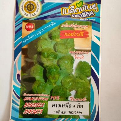 Hạt giống Bắp cải tí hon xanh thái lan nhập nguyên gói_Bắp cải mini xanh chịu nhiệt