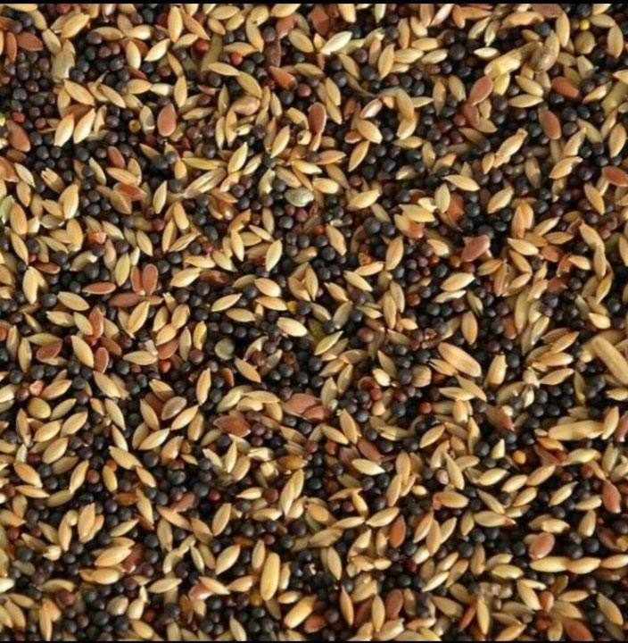 Thức ăn hạt trộn cho chim yến hót, gold finch, thạch yến.