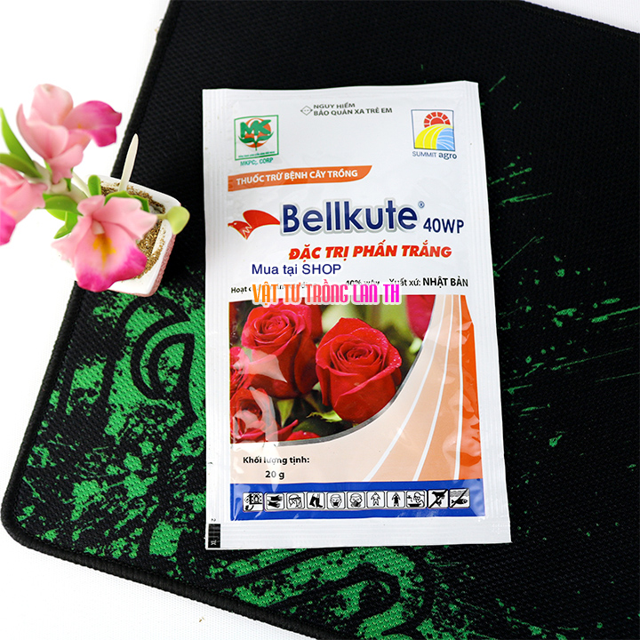 Đặc trừ bệnh phấn trắng, sương mai cho hoa Bellkute 40WP