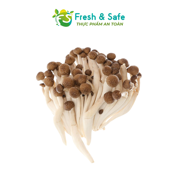 [HOẢ TỐC HCM] Nấm Linh Chi Nâu - 125g