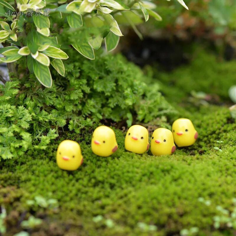 [HCM]Phụ kiện tiểu cảnh - COMBO 5 con gà mini trang trí terrarium sen đá xương rồng charm slime