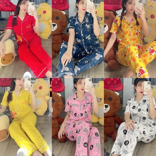 [SIZE 43kg đến 58kg tùy chiều cao] Đồ Bộ Pijama Nữ ĐA DẠNG MẪU KHÁCH ĐƯỢC CHỌN Chất Kate Lụa Mềm Mịn