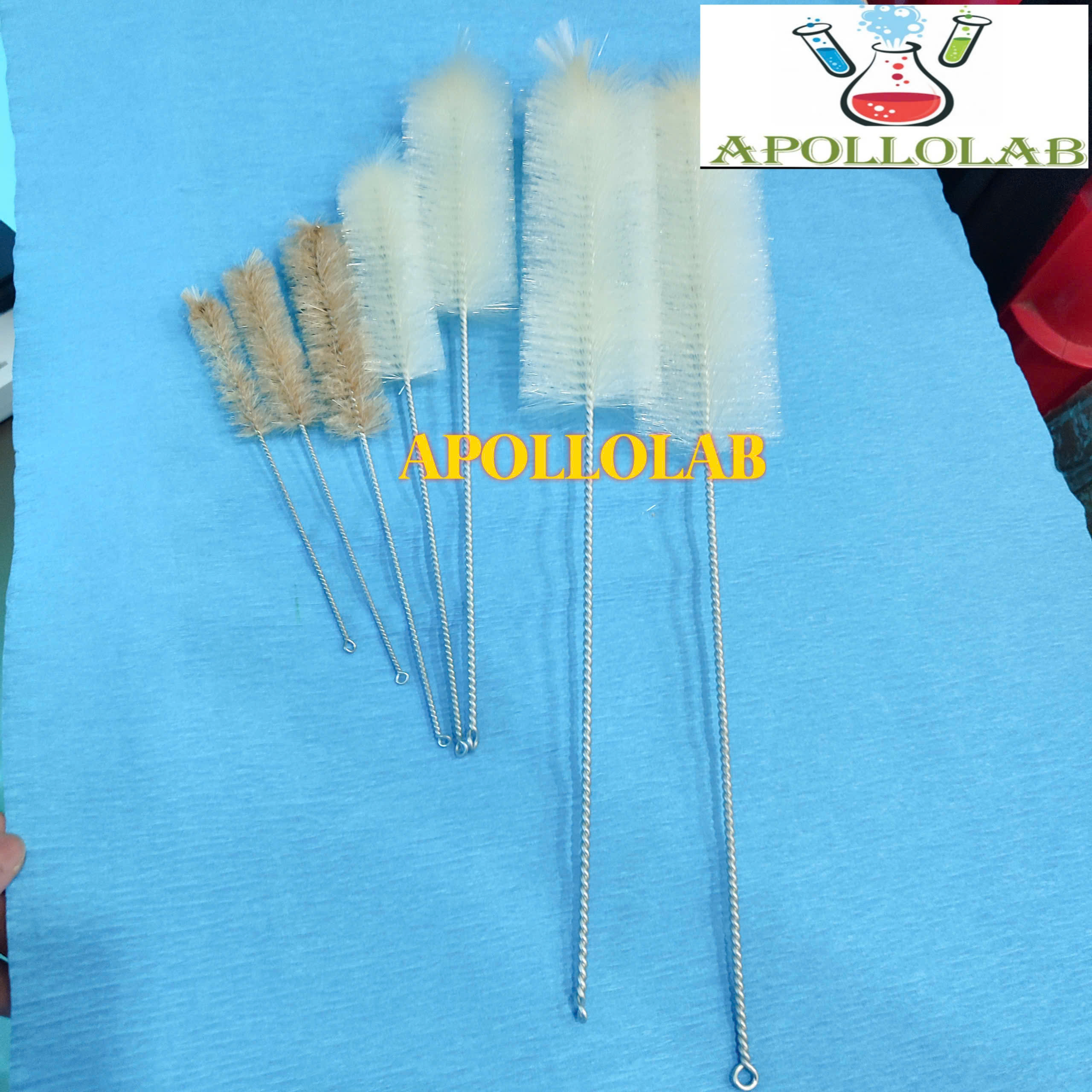 Chổi rửa cọ rửa ống đong, rửa ống nghiệm thí nghiệm