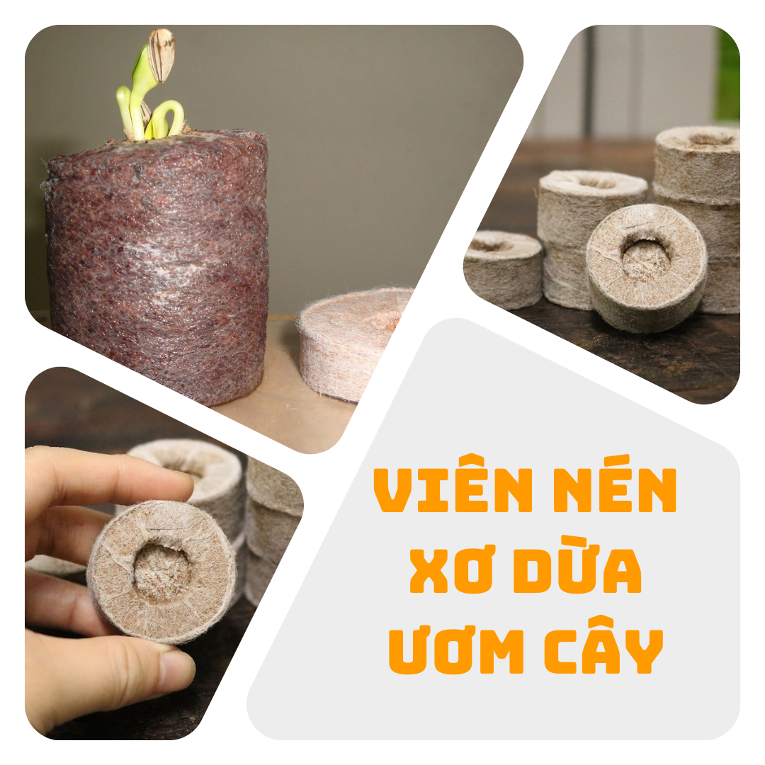 Viên nén xơ dừa uơm hạt giống, trồng cây, uơm hạt, uơm cây - vattuvina