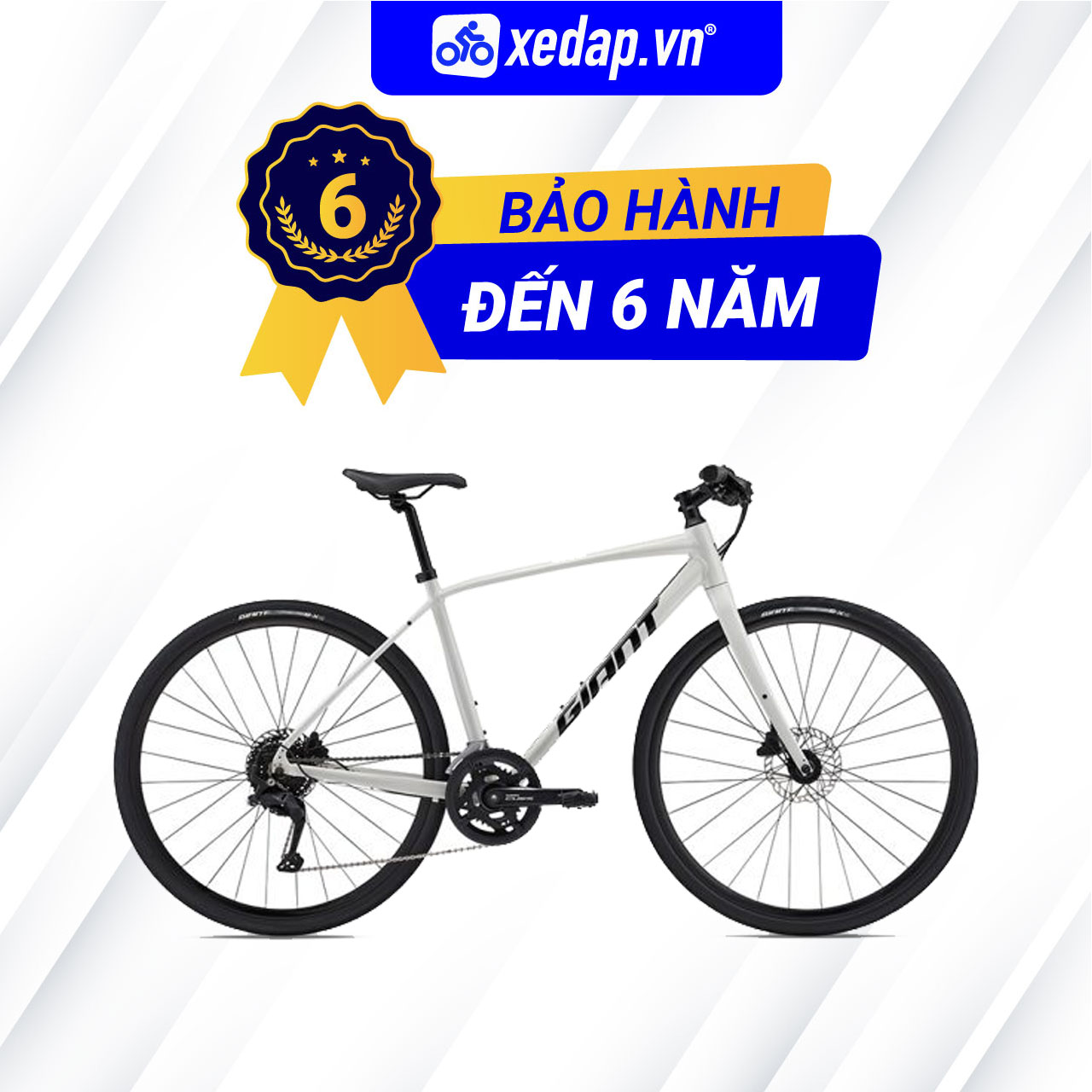 Xe đạp đường phố touring giant escape 1 disc – phanh đĩa, bánh 700c – 2024