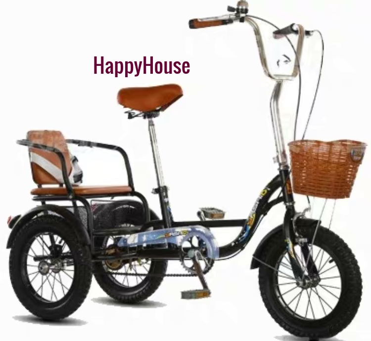Xe đạp xích lô cao cấp cho người già/người lớn tuổi