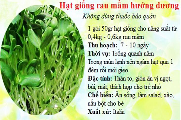 [HCM]RAU MẦM PHÚ NÔNG : Mầm Hướng Dương _Gói 50gram.