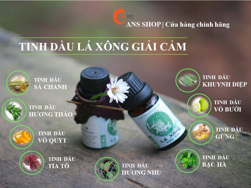 Tinh dầu lá xông giải cảm 10ml - nhà của thời thanh xuân