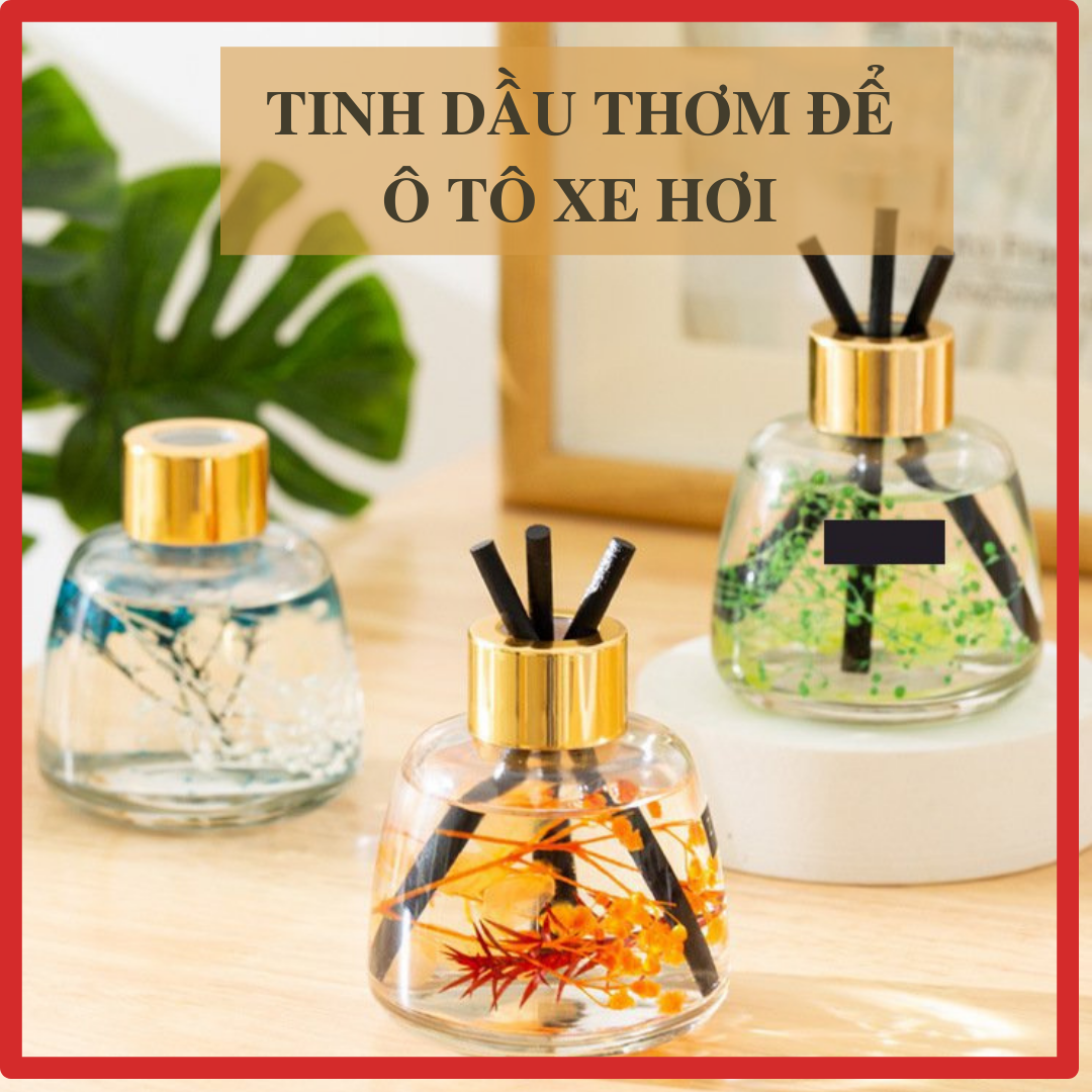 Tinh dầu thơm phòng 120ml để ô tô phòng khách phòng ngủ để ô tô xe hơi chiết xuất từ nguyên liệu thiên nhiên TD13