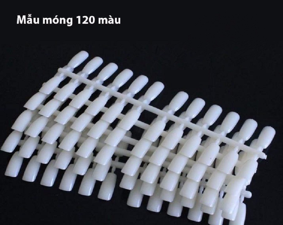 Móng mẫu. gắn vào bảng màu - móng mẫu