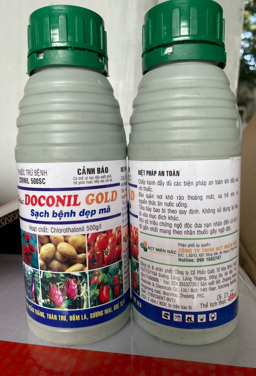 Thuốc trừ nấm bệnh DACONIL GOLD chai 450ML trừ mọi nấm bệnh thán thư sương mai ghẻ sẹo đốm lá phấn trắng thối quả trái