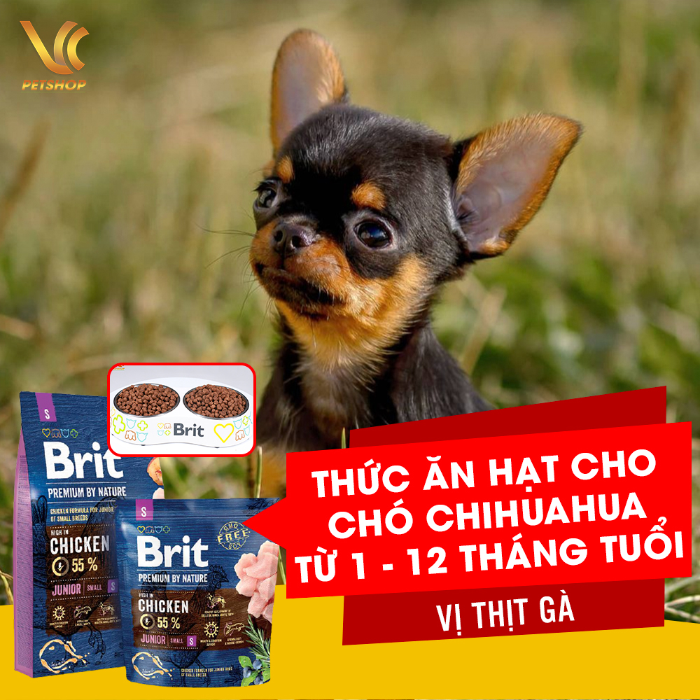 Thức Ăn Hạt Cho Chó Chihuahua Từ 1 Đến 12 Tháng Tuổi Vị Thịt Gà Brit