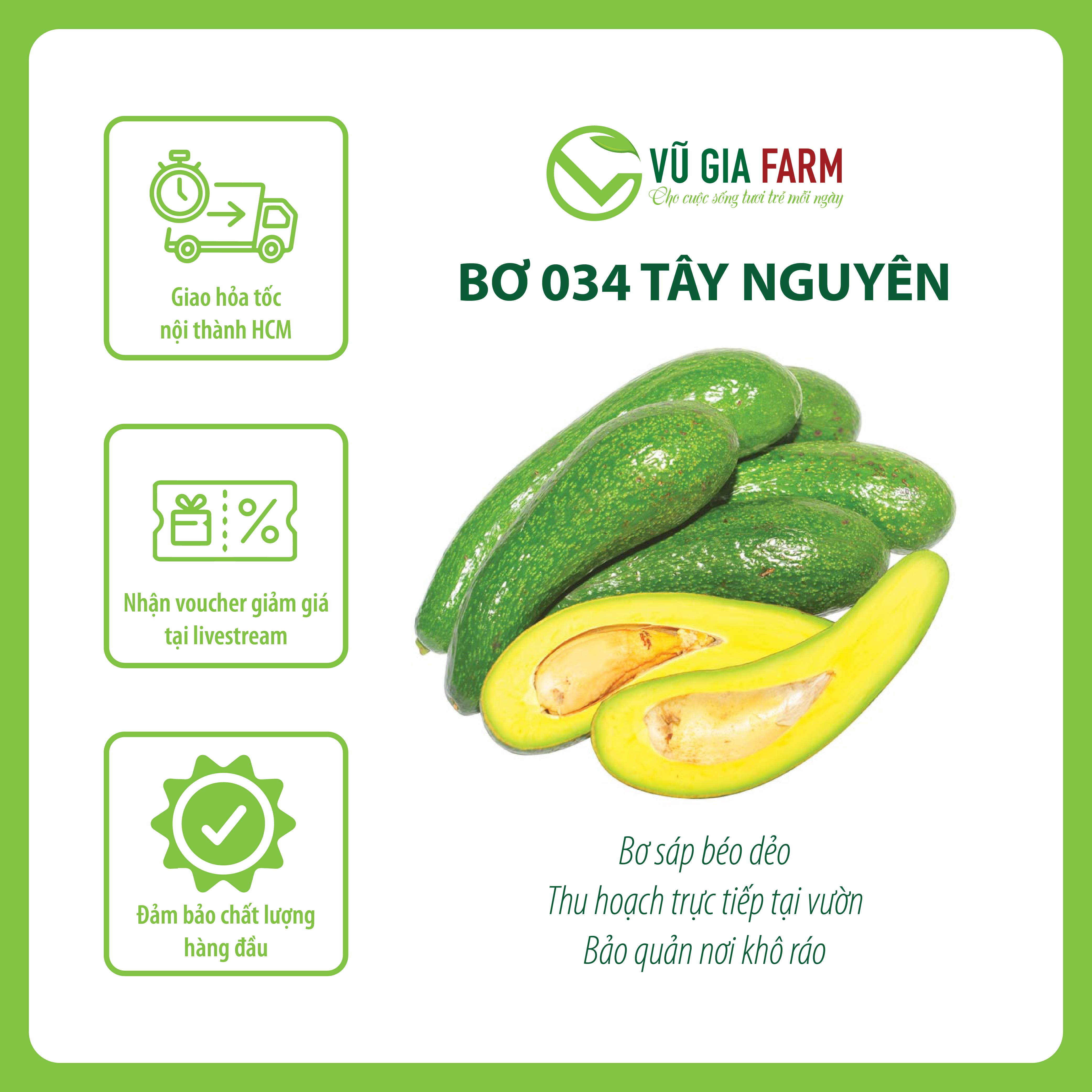 [HỎA TỐC HCM] BƠ 034 SIZE 2-3-4 TRÁI/KG TÂY NGUYÊN VŨ GIA FARM - Trái già hái trực tiếp tại vườn không lo hoá chất - Cơm vàng, sáp dẻo