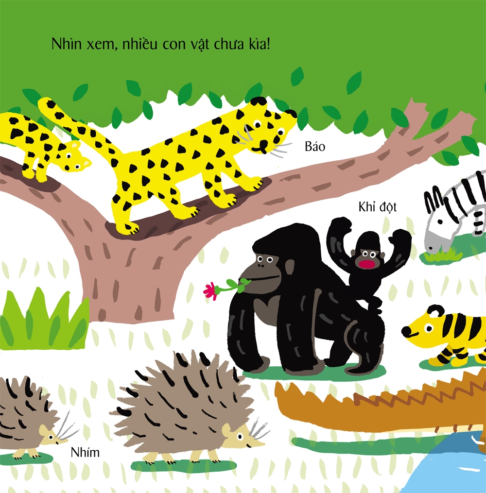 Fahasa - Ehon Nhật Bản - Tương Tác Phát Triển IQ - Kun Và Ma: Đây Là Con Gì?