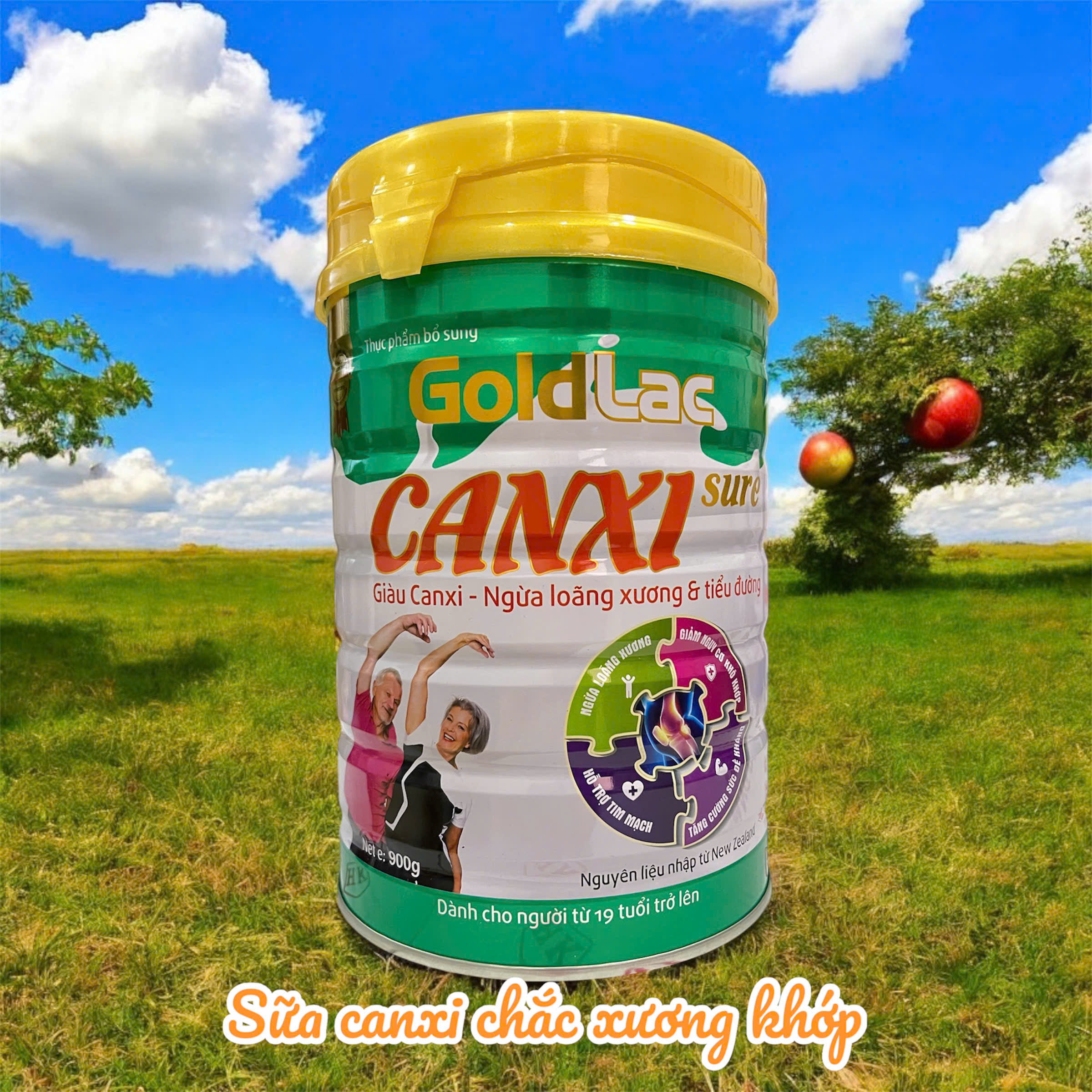 Sữa canxi cho người già loãng xương tiểu đường Goldlac canxi sure lon 900g