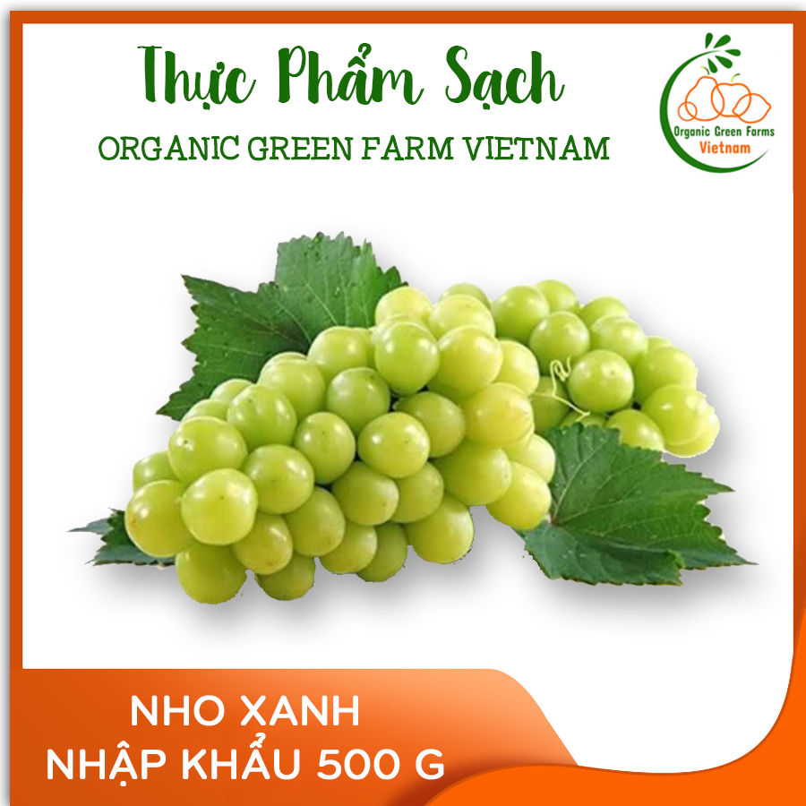 [OGF] - Nho xanh nhập khẩu (500g) - [Giao nhanh TPHCM]