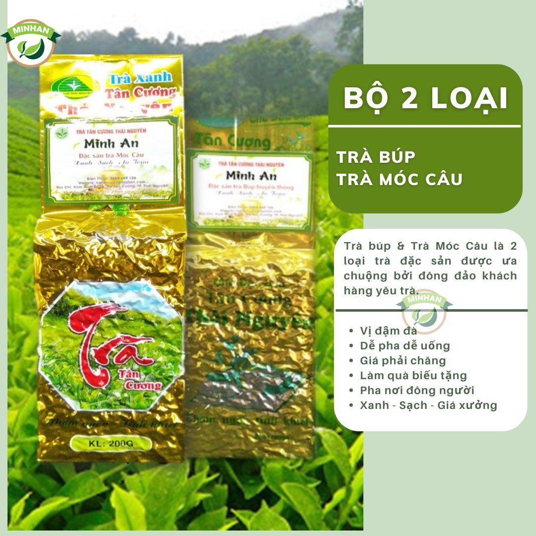 Trà xanh Tân Cương Thái Nguyên - Bộ 2 loại chè Búp, Móc Câu Đặc Sản - TRA MINH AN xưởng chè khô mạn chính gốc giá tốt sạch mới sx 100% - nước xanh thơm ngon hậu ngọt uống tốt sức khỏe và biếu tặn