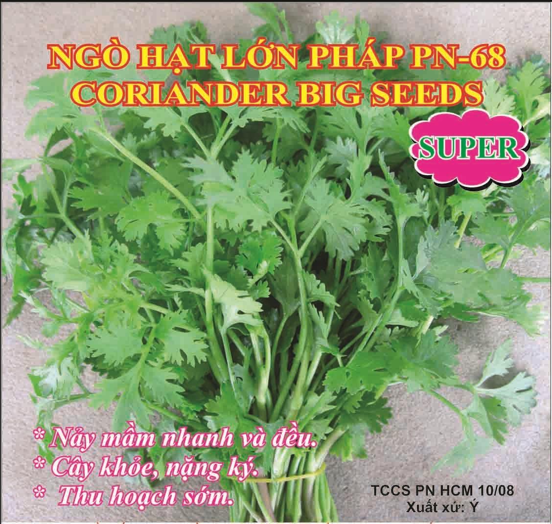 Ngò hạt lớn pháp phú nông pn-68_gói 10gram