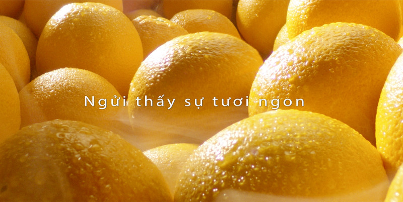 Làm mát nhanh hơn cho thực phẩm bảo quản tại cửa1