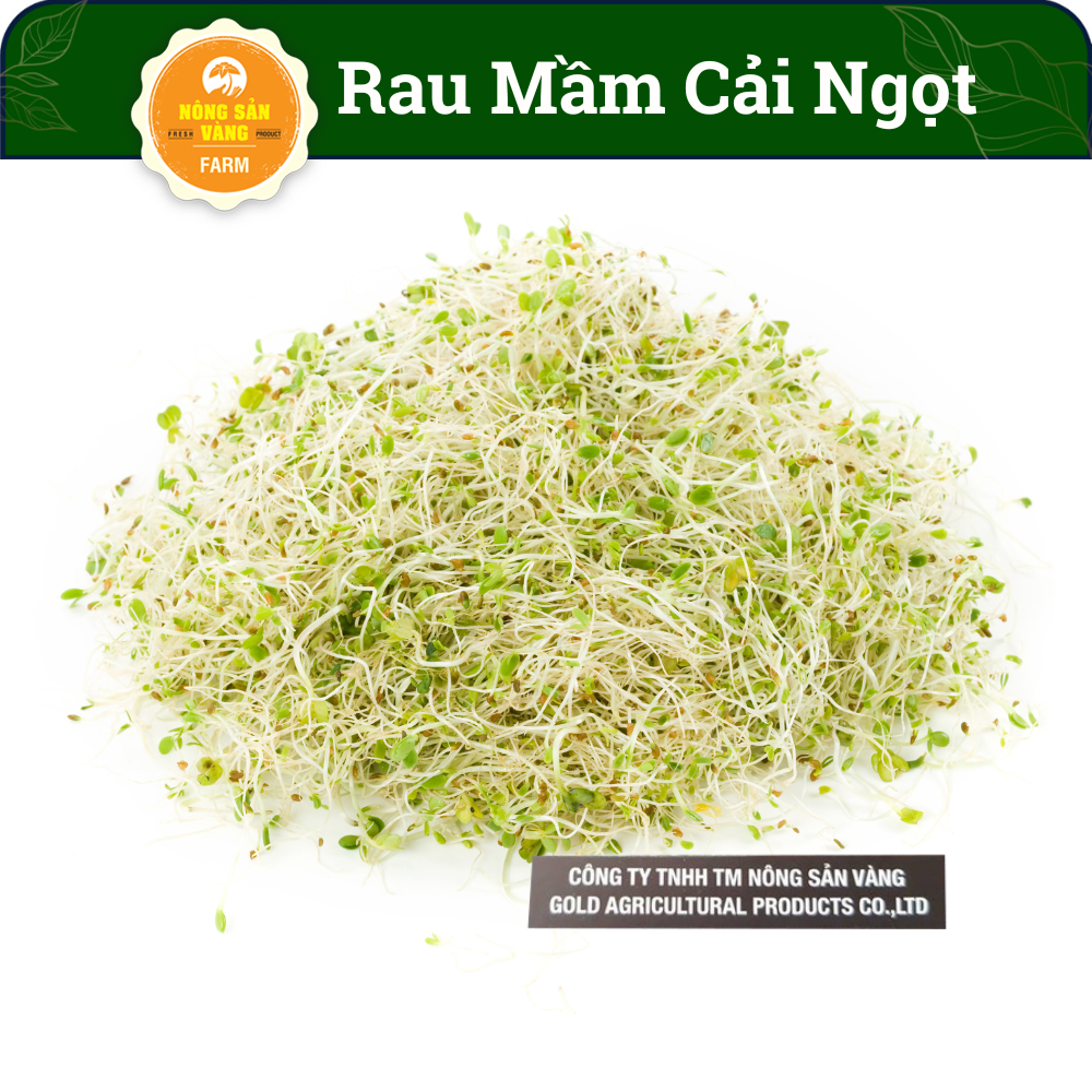Hạt giống rau mầm cải ngọt 20gr, dinh dưỡng cao, nảy mầm cao, nhanh thu hoạch - nông sản vàng