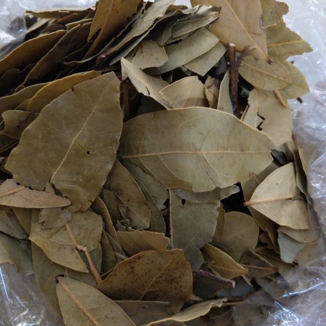 100gr lá nguyệt quế khô