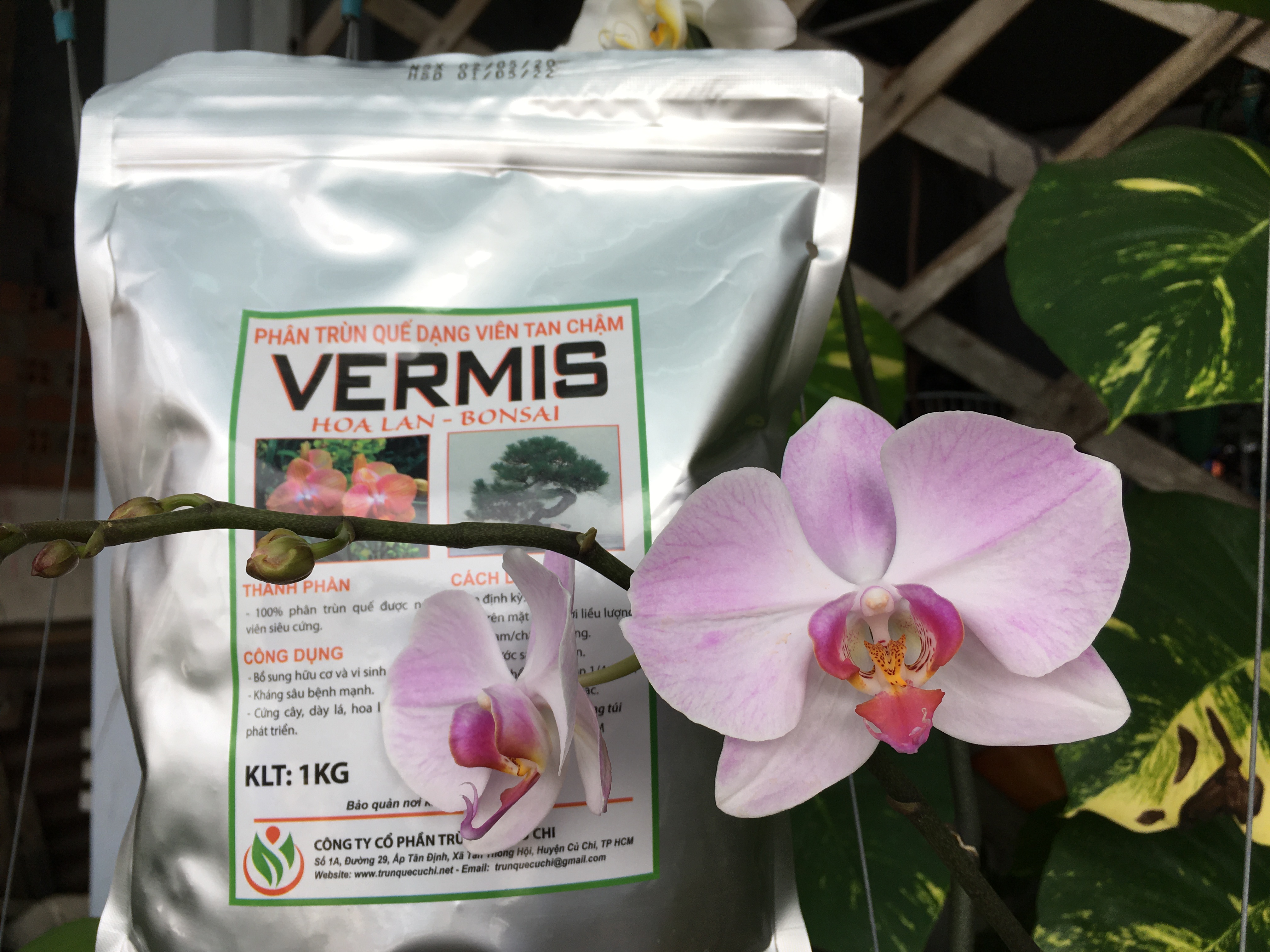 phân trùn quế dạng nén viên cho hoa lan tan chậm vermis