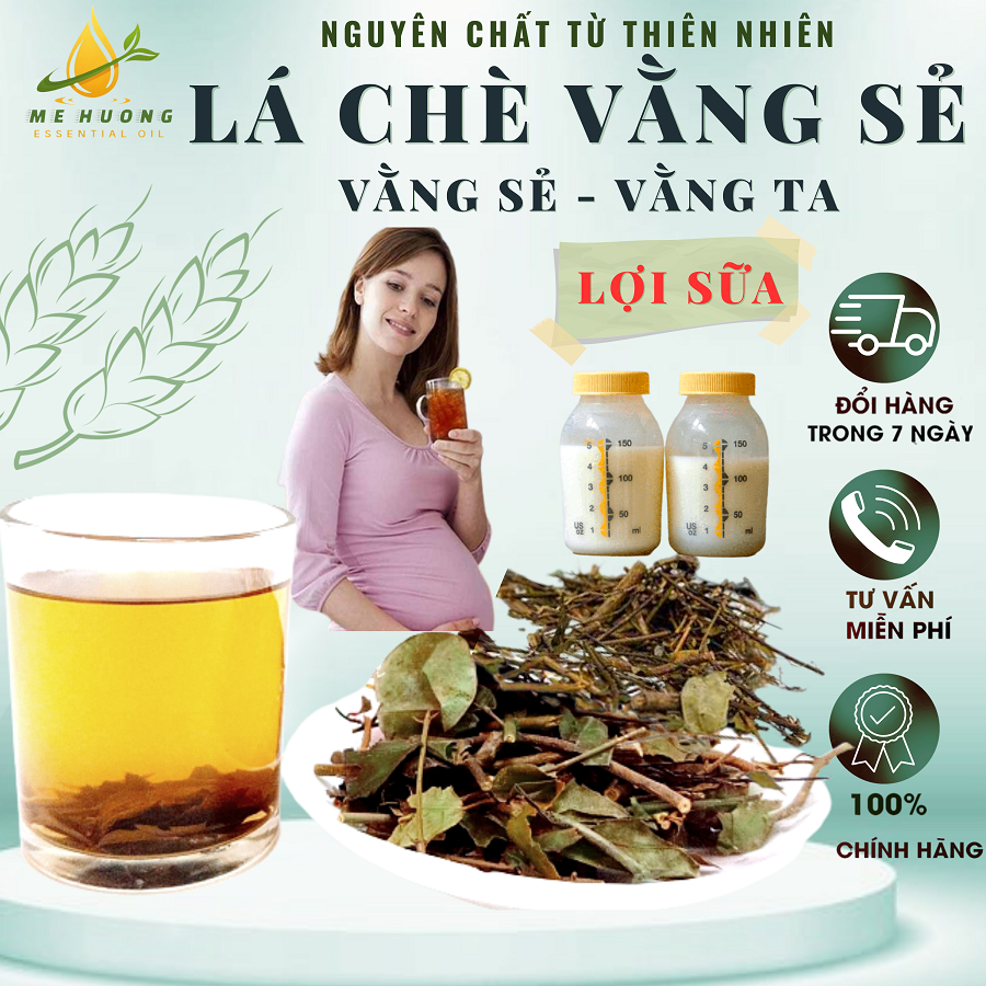 Chè Vằng Lợi Sữa Giảm Cân, lá chè vằng sẻ lá nhỏ thơm ngon loại 1 đặc sản Mệ Hường Quảng Trị không vụn tươi mới tươi ngon thơm dùng cho bà bầu sau sinh đẹp da thanh lọc cơ thể uống hằng ngày 100gr,1 ký