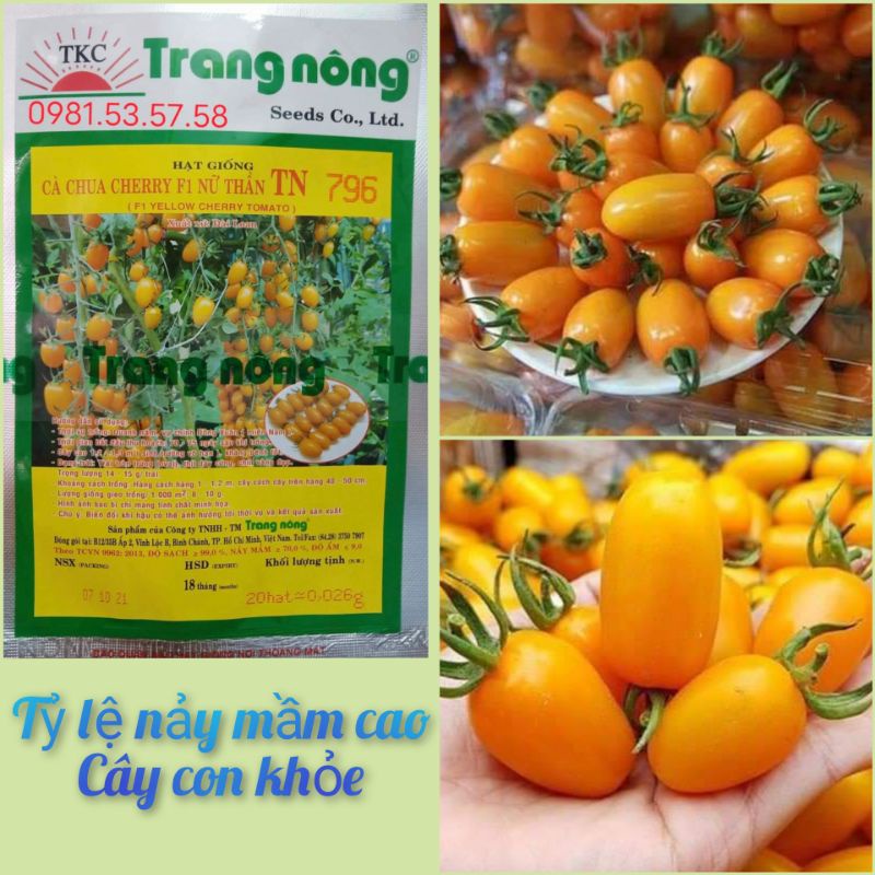 Hạt giống cà chua trái cây nova
